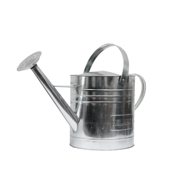 9L Galv Watering Can Wrose